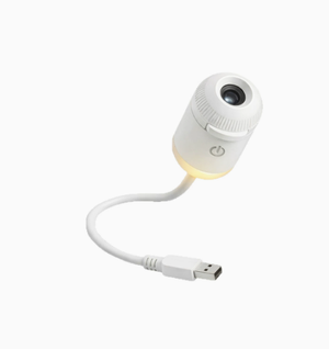 Little Eagle Projection Night Light